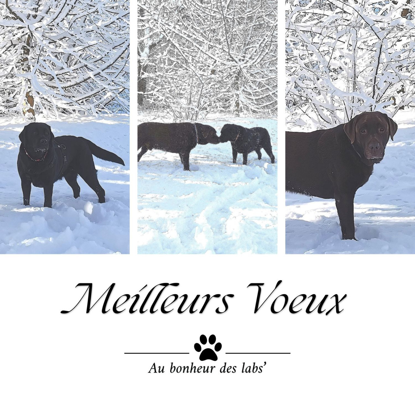 Bonne Année 2026 !!!