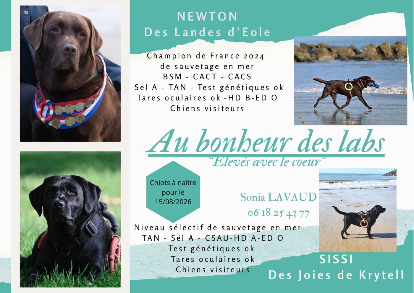 Affiche officielle du mariage SISSI x NEWTON