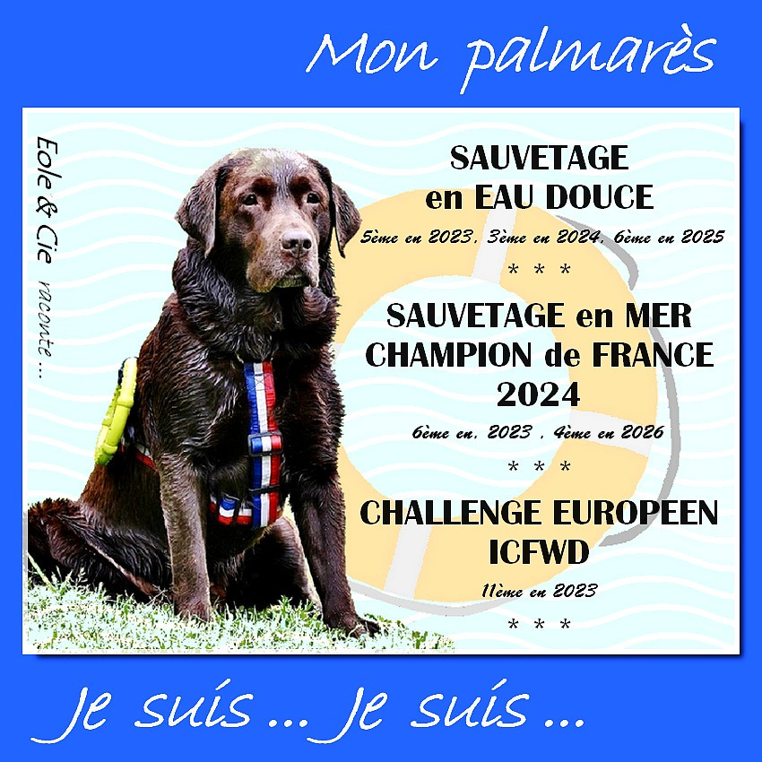 Passation du collier des champions de France pour Newton